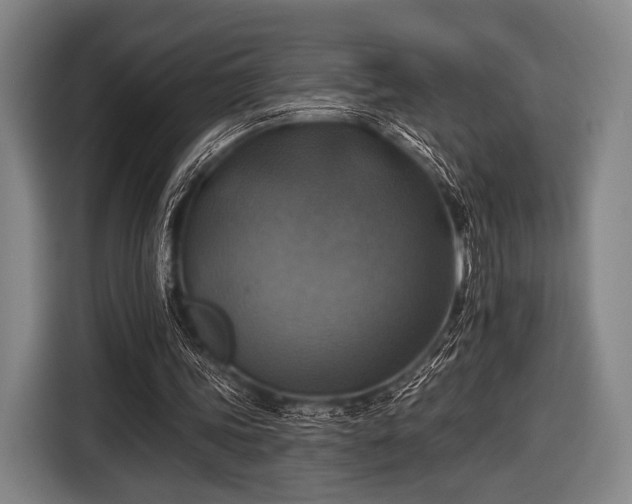 X0000116490339200912161323