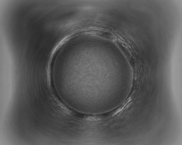 X0000116490341200912161323