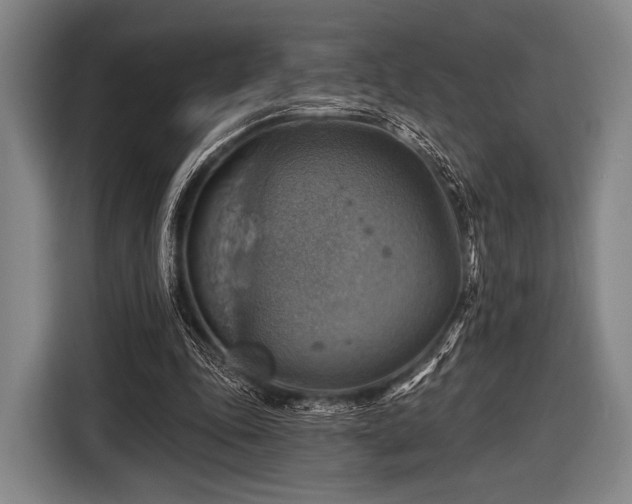 X0000116490343200912161323