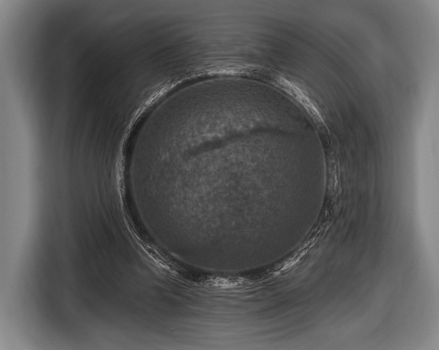 X0000116490346200912161323