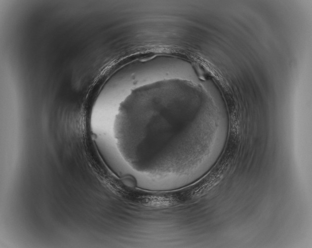 X0000116490347200912161323