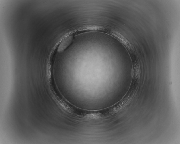 X0000116490350200912161323