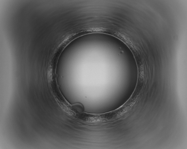 X0000116490351200912161323