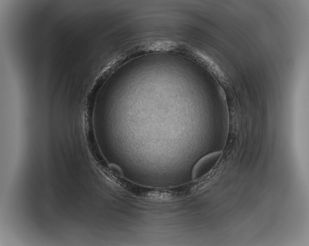 X0000116490354200912161323