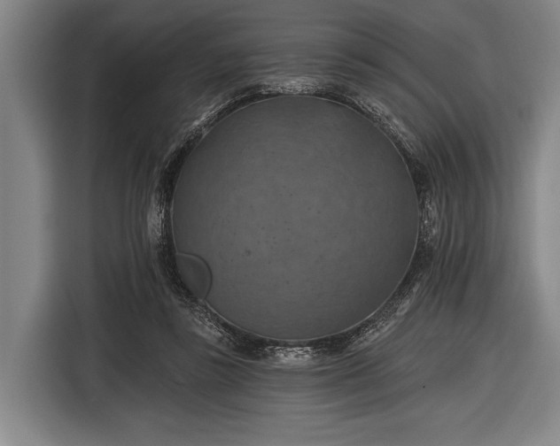 X0000116490355200912161323