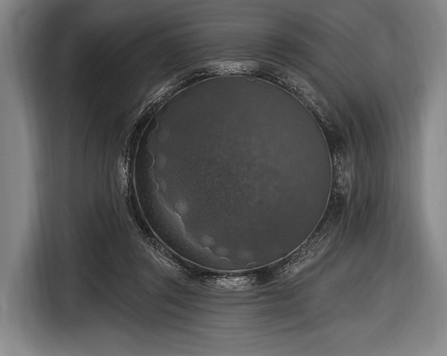 X0000116490357200912161323