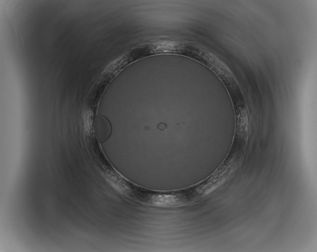 X0000116490361200912161323