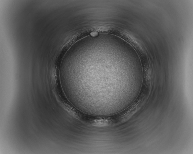 X0000116490362200912161323