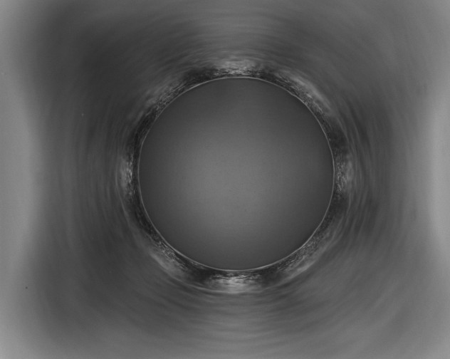 X0000116490365200912161323