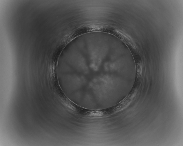 X0000116490369200912161323