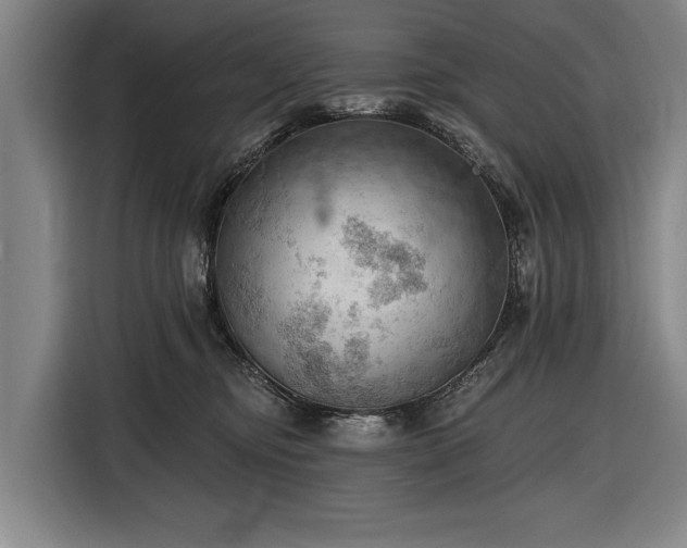 X0000116490374200912161323