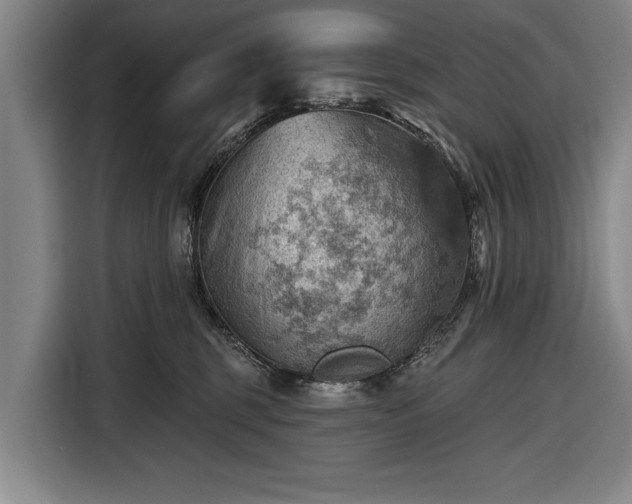 X0000116490375200912161323