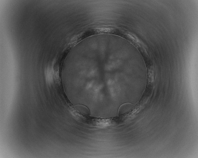 X0000116490377200912161323