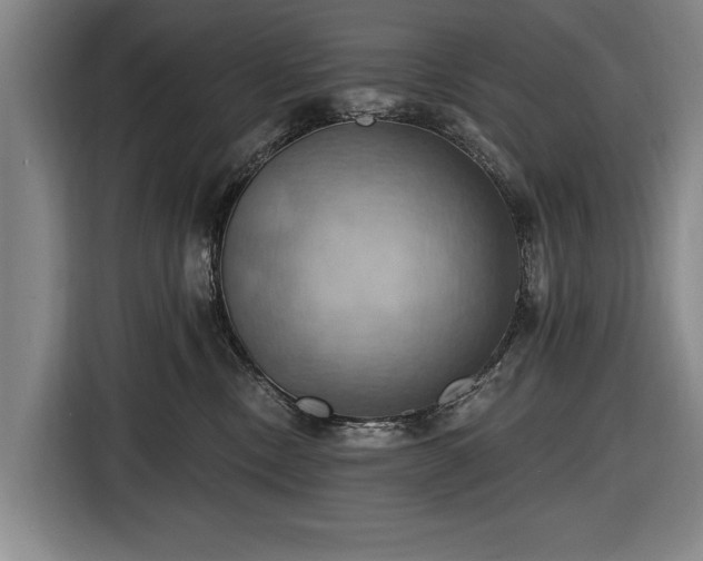 X0000116490378200912161323