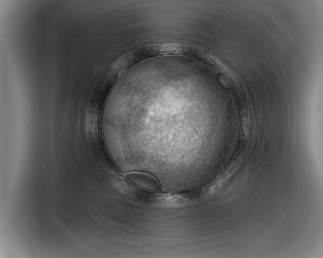 X0000116490379200912161323