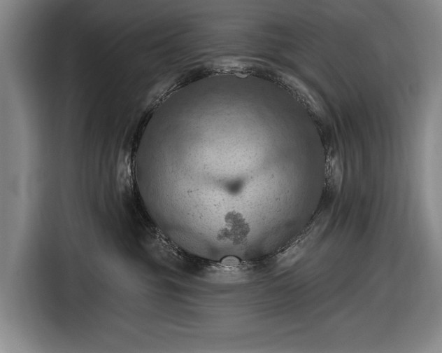 X0000116490381200912161323