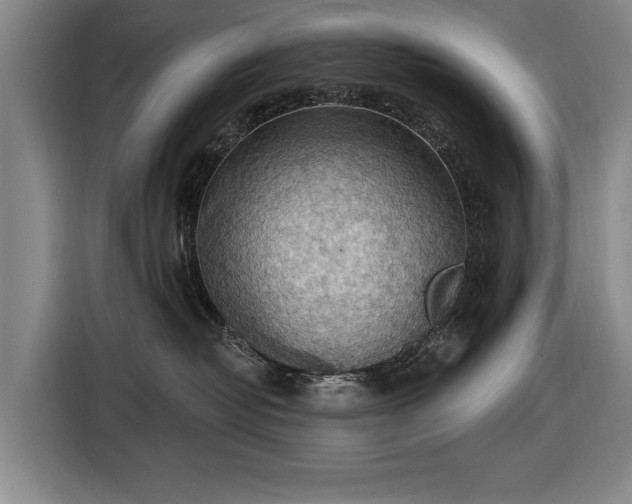 X0000116490382200912161323