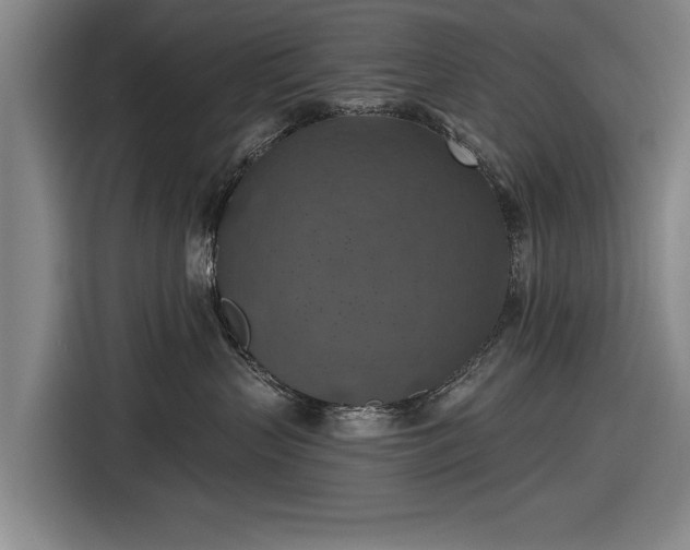 X0000116490383200912161323