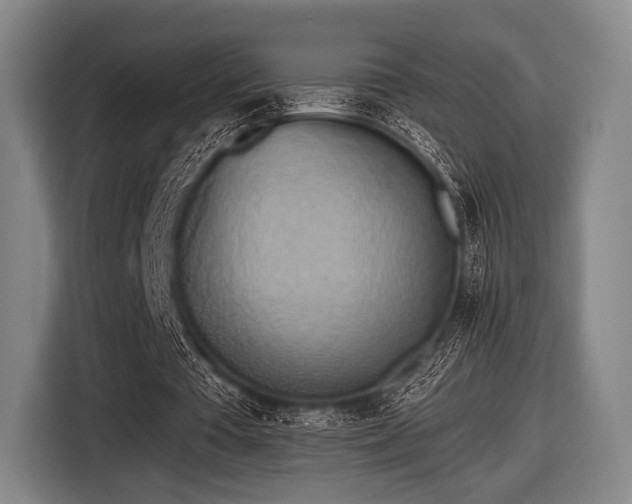 X0000116490385200912161323