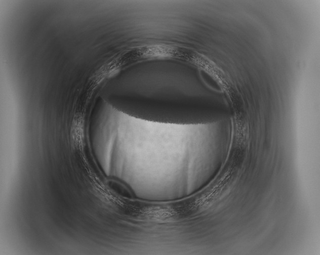 X0000116490386200912161323