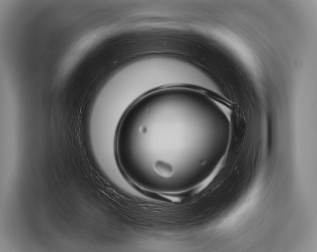 X0000116490387200912161323