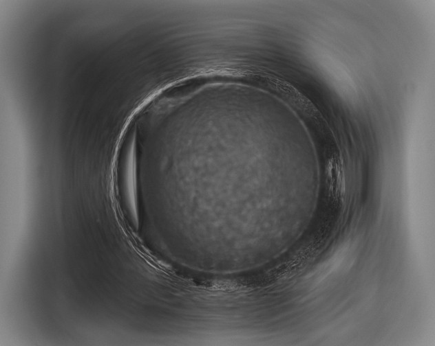 X0000116490388200912161323