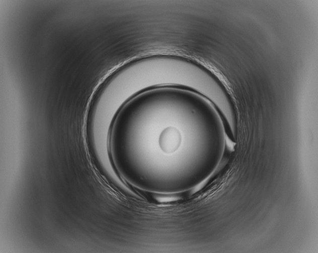 X0000116490391200912161323