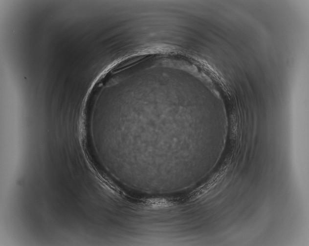 X0000116490392200912161323