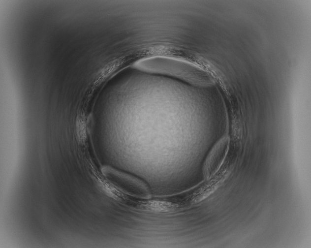 X0000116490393200912161323