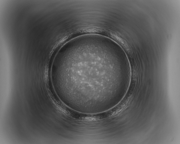 X0000116490394200912161323