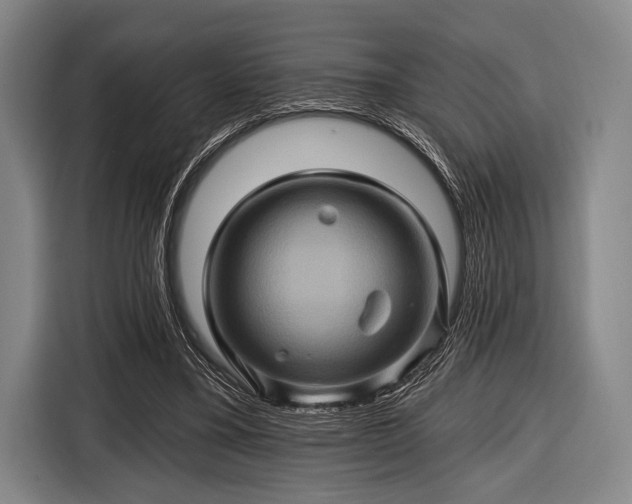 X0000116490395200912161323