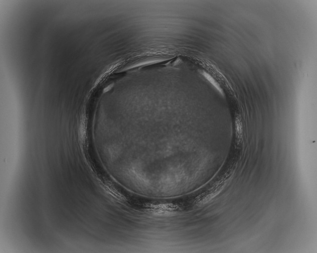 X0000116490396200912161323