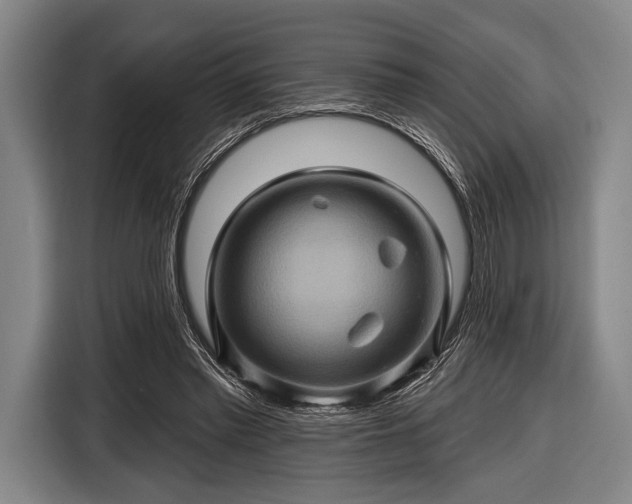 X0000116490397200912161323