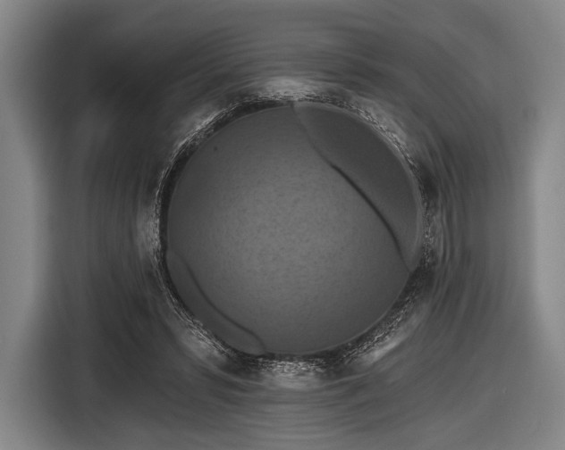 X0000116490399200912161323