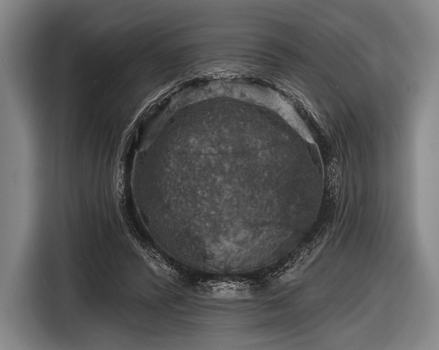 X0000116490400200912161323