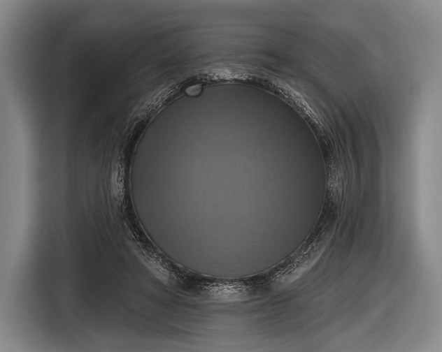 X0000116490402200912161323