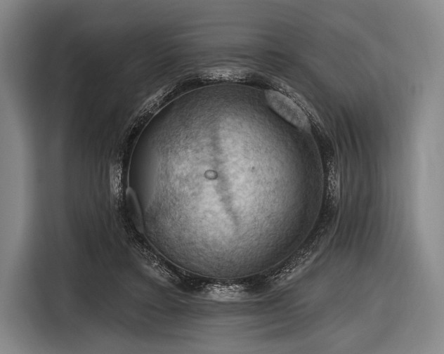 X0000116490403200912161323