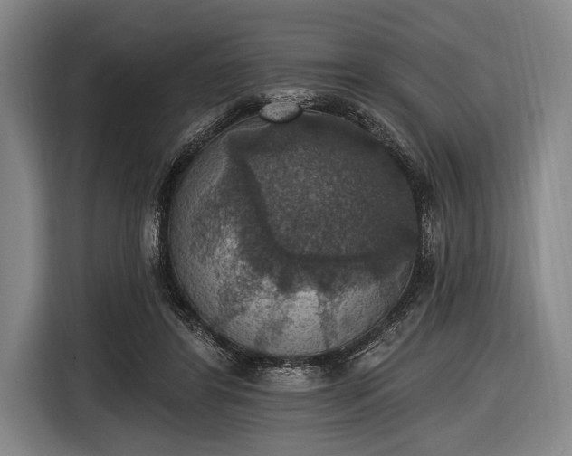 X0000116490404200912161323