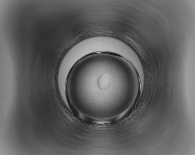 X0000116490405200912161323