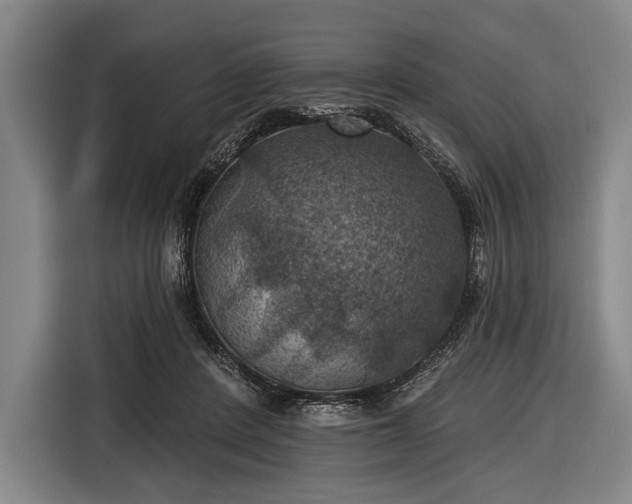 X0000116490408200912161323