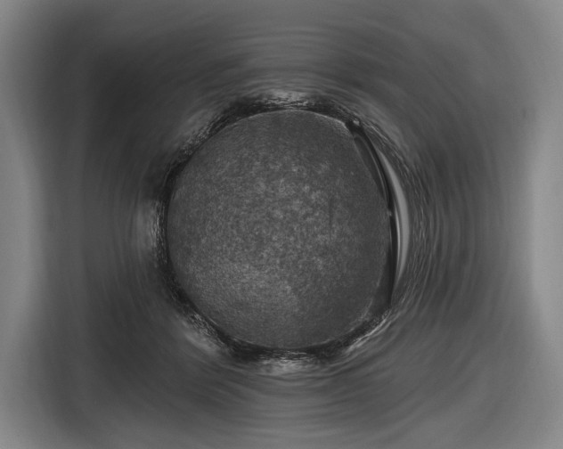 X0000116490412200912161322