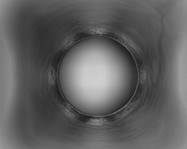 X0000116490414200912161322