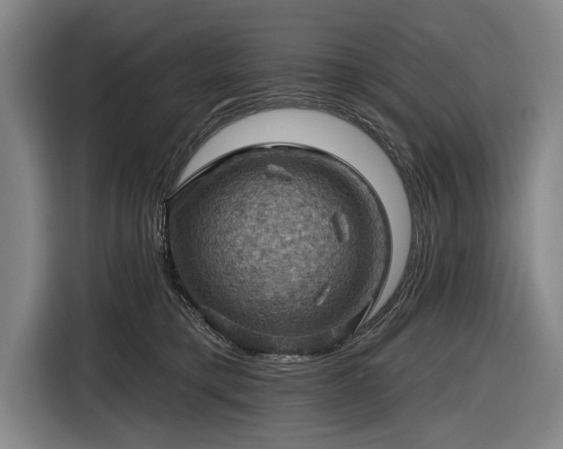 X0000116490421200912161322