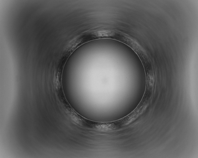 X0000116490422200912161322