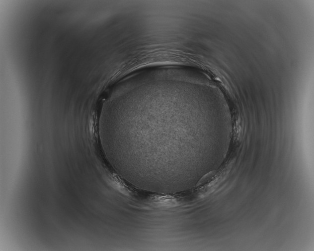 X0000116490424200912161322