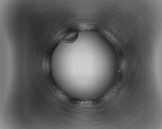 X0000116490426200912161322