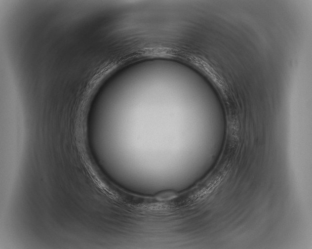 X0000116490433200912161322