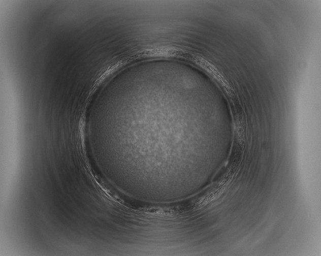 X0000116490434200912161322