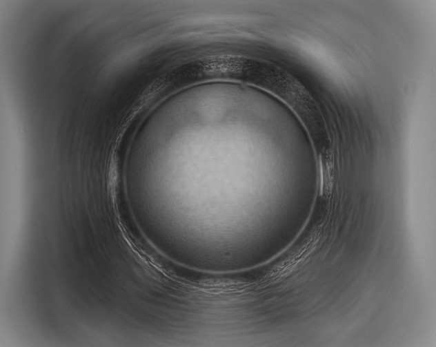 X0000116490435200912161322