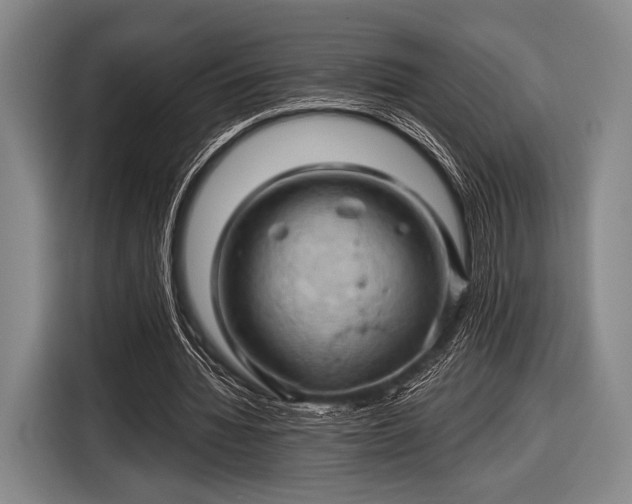 X0000116490436200912161322